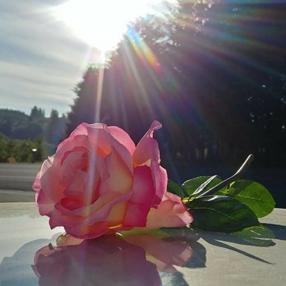 Meet your Posher, Michelle - Picture 1 of 1